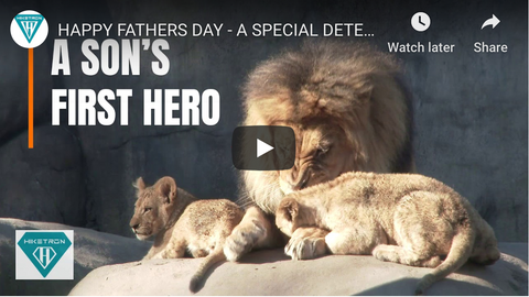 Happy Father's Day From Hiketron