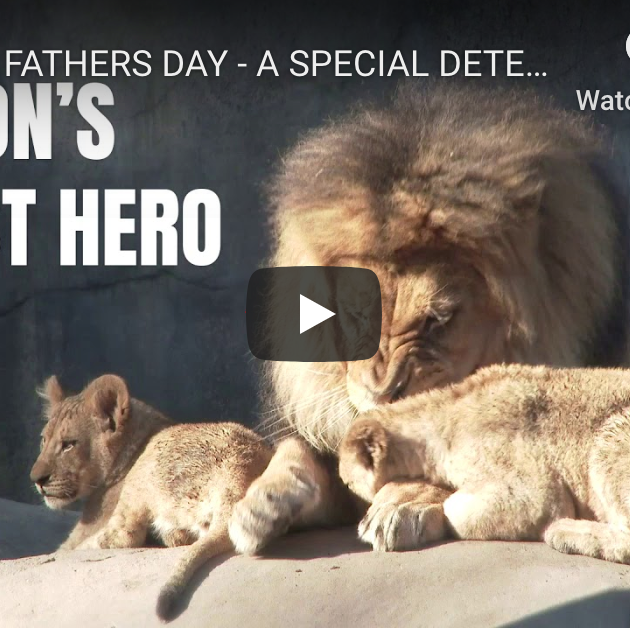 Happy Father's Day From Hiketron